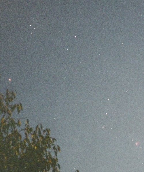 orion_in_moonlight23T