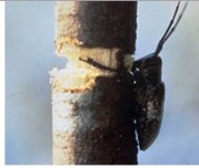 Screen Shot 2017-10-04 at 2.41.54 PM