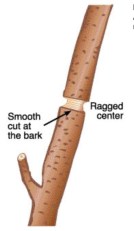 Screen Shot 2017-10-04 at 3.40.27 PM