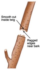 Screen Shot 2017-10-04 at 3.40.50 PM