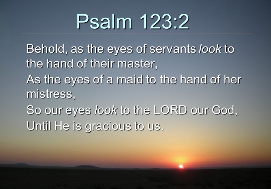 Screen Shot 2017-11-03 at 2.12.39 PM