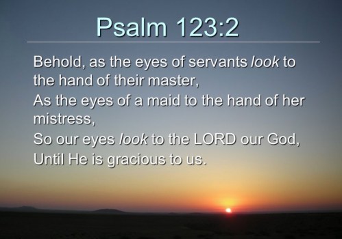 Screen Shot 2017-11-03 at 2.12.39 PM